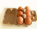 Macchina del vassoio dell'uovo della carta di alta efficienza, macchina per fabbricare le scatole di cartone dell'uovo della cartapesta