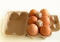 Facile azioni il creatore d'imballaggio del contenitore di uovo della macchina di formatura della cartapesta