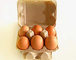 Uovo di carta amichevole Tray Machine di Eco/macchina per fabbricare le scatole di cartone dell'uovo 350 -1000pcs/H