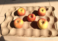 Vassoio di Apple della carta/vassoio della frutta che rende a valvola a macchina della Germania rendimento elevato