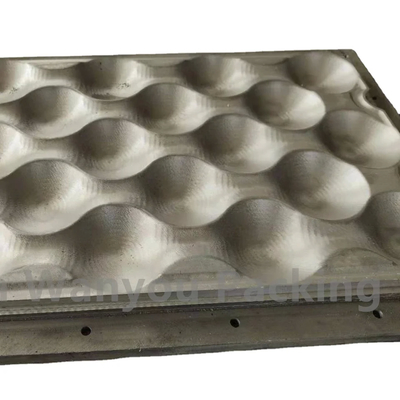 Macchine per la pasta di carta per la tavola usa e getta muffa da vassoio per uova con trattamento superficiale polacco