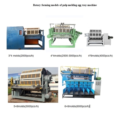 70-150kw macchina rotativa per vassoi per uova grande capacità personalizzabile