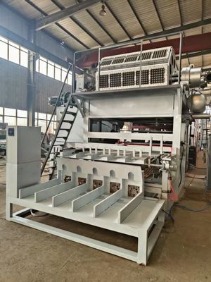 5000 pcs/h completamente automatico Capacità 5*8 stampi Modello rotativo di formazione del vassoio per uova Linea di produzione Macchina di stampaggio della pasta di carta/macchina per vassoio per uova