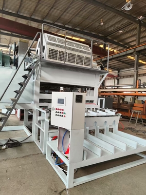 Confezionatrice automatica per vassoi portauova / Attrezzatura per stampaggio della polpa / Linea di produzione vassoi portauova con controllo PLC