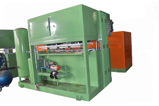 Uovo residuo Tray Making Machine del modanatura 200KW della cartapesta