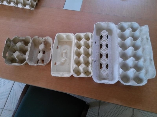 Ricambiando tipo linea di produzione del vassoio dell'uovo macchina di formatura della polpa di piccola capacità