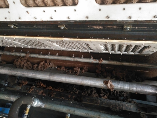 Linea di produzione automatica del vassoio per la fabbricazione eliminabile dei cartoni dell'uovo della polpa