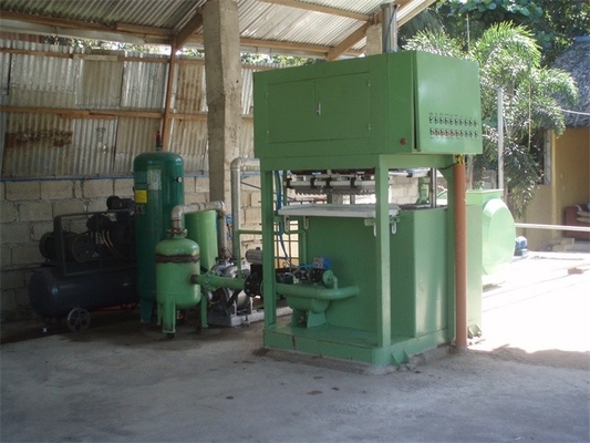 Linea di produzione amichevole del vassoio della frutta di Eco/vassoio dell'uovo 350 capacità di -3000pcs/h