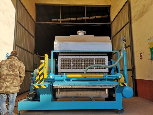 Macchina di formazione rotatoria del vassoio dell'uovo, macchina per fabbricare le scatole di cartone dell'uovo tempo di impiego lungo