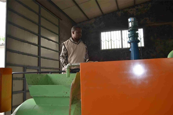 Piccola azienda agricola riciclabile di Tray Making Machine For Chicken dell'uovo di carta straccia