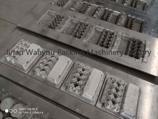 3000pcs/hr incartano il cartone dell'uovo che fa l'attrezzatura del vassoio della carta per macchina con la linea di secchezza