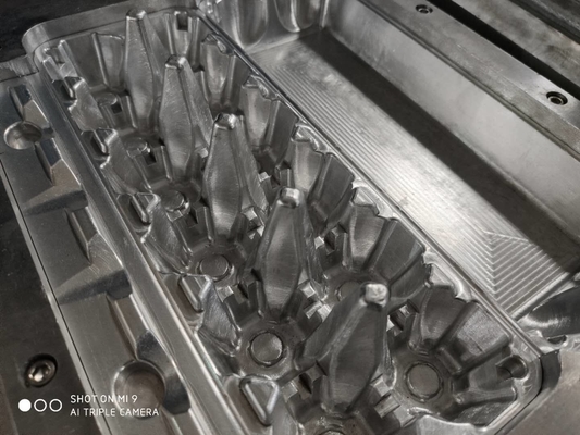 Muffa di alluminio della polpa dell'OEM di Tray Mold dell'uovo di 30 fori