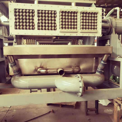 uovo di carta Tray Machine della carta di Tray Making Machine Recycling Waste dell'uovo della polpa 2500pcs/h